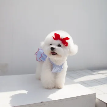 הקיץ הנסיכה כלב שמלה קטנה גורים חיות מחמד החתול טוטו מסיבת חתונה חצאית בגדים