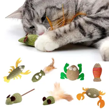 חיות מחמד חתולים, צעצועים אכיל נפית החתולים הכדור בריא חתול מנטה מנקה את המשחק לרדוף אחרי ספקי צעצוע משק שיניים צעצועים לחיות מחמד, מוצרים חתול M2T8